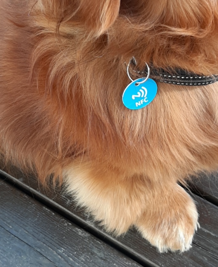 Lemmikki tagi LITE® - Image 4