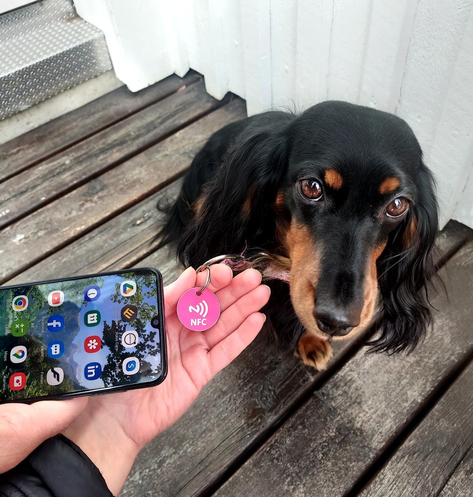 Lemmikki tagi LITE® - Image 2